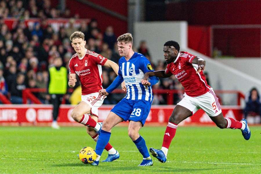 Hurzeler thrilled with Brighton's summer transfer investments