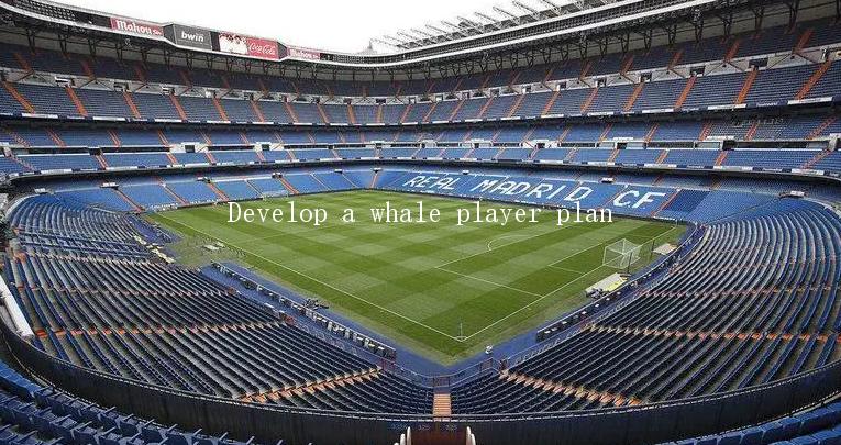 Develop a whale player plan